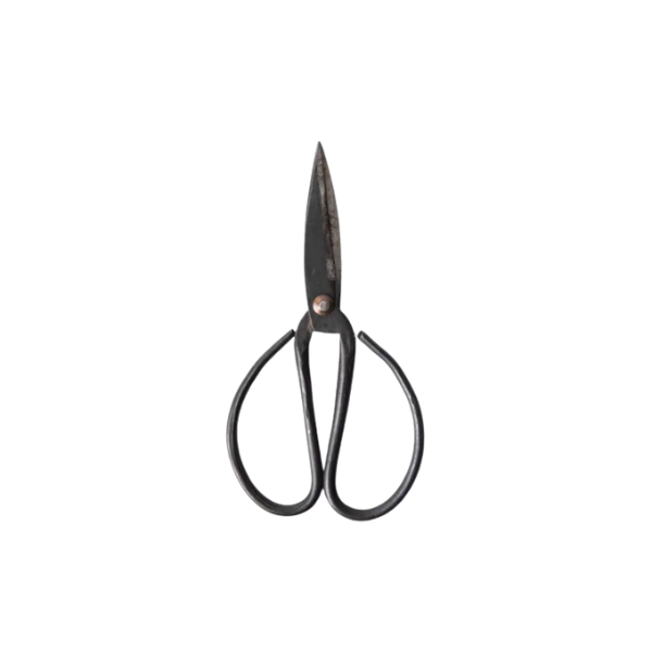 'Black Herb Scissors (M)