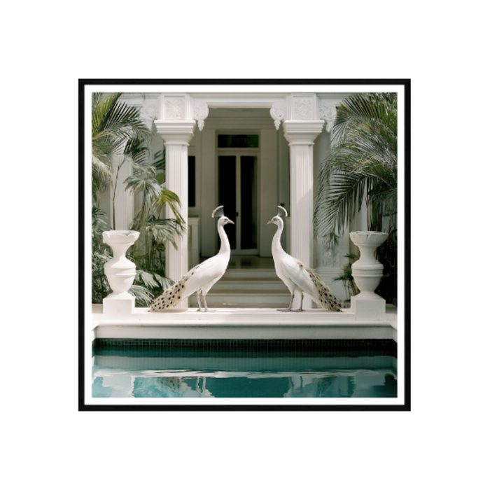 Blanca Birds In Box Frame 1148 x1148