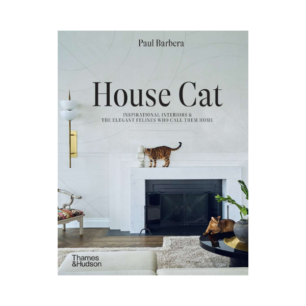 House Cat